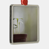 Zonnebloem planten die in pot 2 ontkiemen metalen ornament (Rechts)