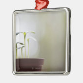 Zonnebloem planten die in pot 2 ontkiemen metalen ornament (Links)