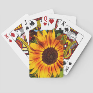 Zonnebloem Pokerkaarten