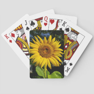 Zonnebloem Pokerkaarten