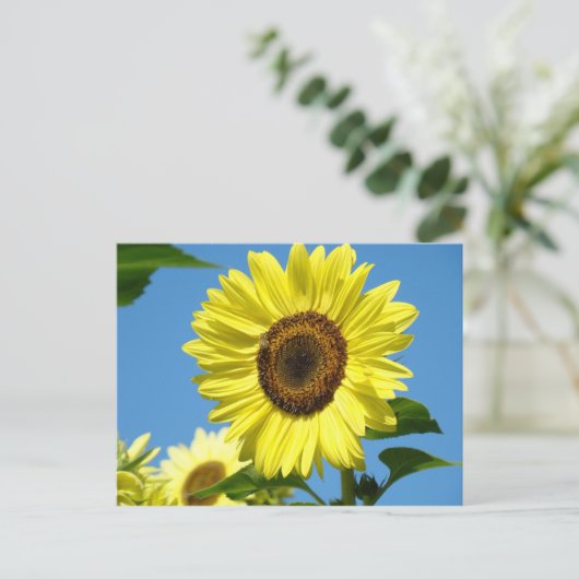 ZONNEBLOEM POST KAART Zomerbloemen (Staand voorkant)