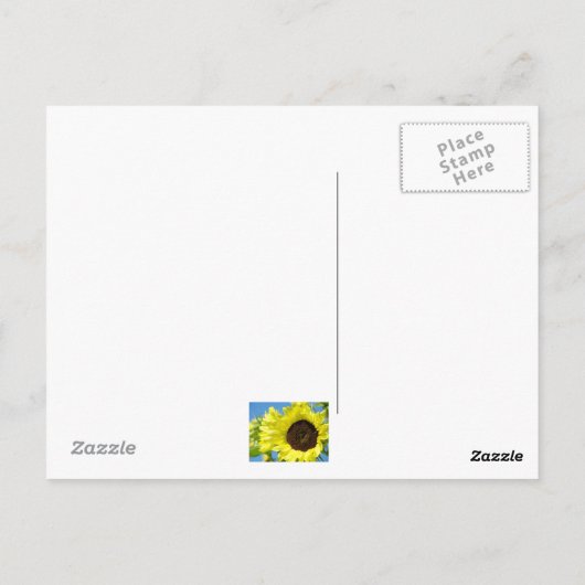 ZONNEBLOEM POST KAART Zomerbloemen (Achterkant)