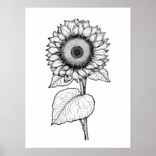 Zonnebloem Poster