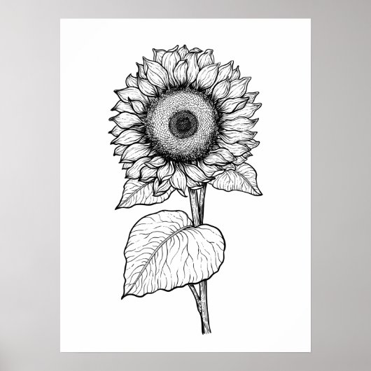 Zonnebloem Poster (Voorkant)