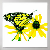 Zonnebloem Poster (Voorkant)