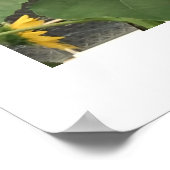 Zonnebloem Poster (Hoek)