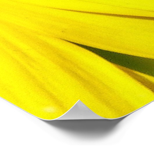 Zonnebloem Poster (Hoek)