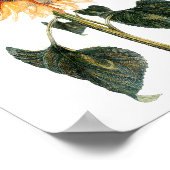 Zonnebloem Poster (Hoek)