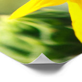 Zonnebloem Poster (Hoek)