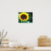 Zonnebloem Poster (Keuken)