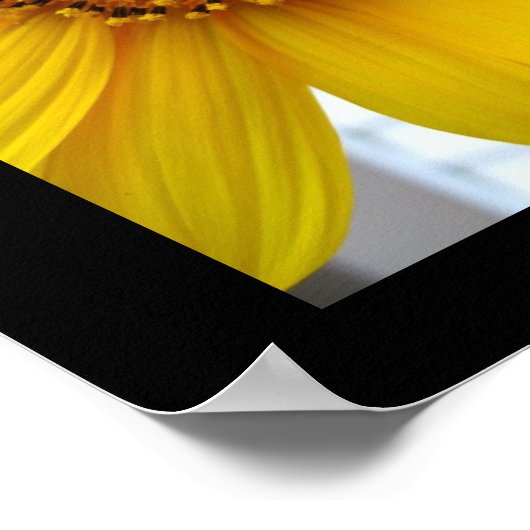 Zonnebloem Poster (Hoek)