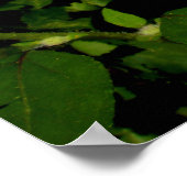 Zonnebloem Poster (Hoek)