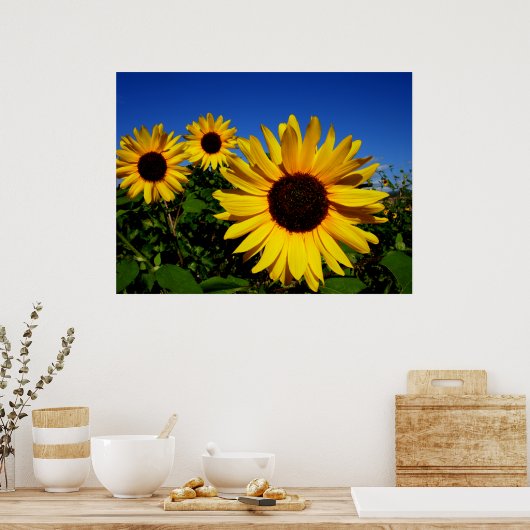 Zonnebloem Poster (Keuken)