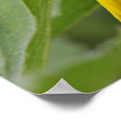 Zonnebloem Poster (Hoek)