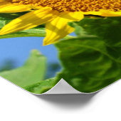 Zonnebloem Poster (Hoek)