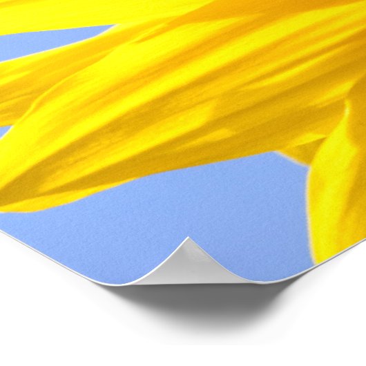 Zonnebloem Poster (Hoek)