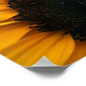 Zonnebloem Poster (Hoek)