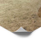 Zonnebloem Poster (Hoek)