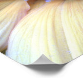 Zonnebloem Poster (Hoek)