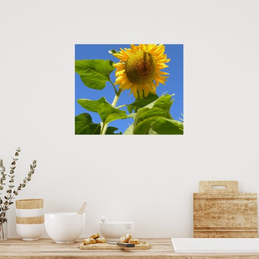 Zonnebloem Poster (Keuken)
