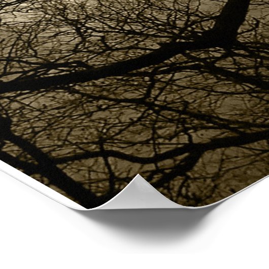 zonnebloem poster (Hoek)