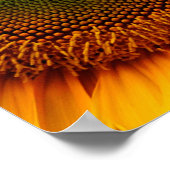 Zonnebloem Poster (Hoek)