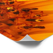 Zonnebloem Poster (Hoek)