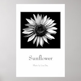 'Zonnebloem' Poster