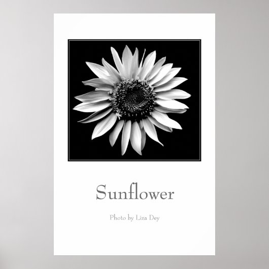'Zonnebloem' Poster (Voorkant)