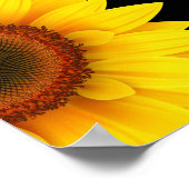 Zonnebloem Poster (Hoek)