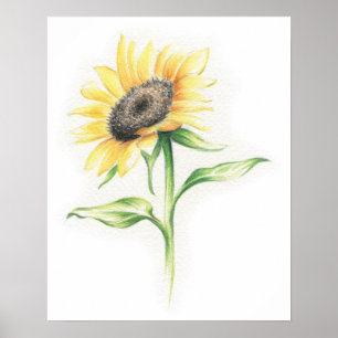 Zonnebloem Poster