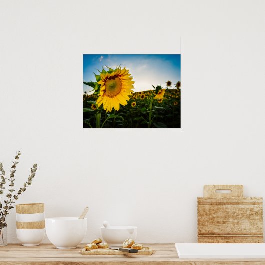 Zonnebloem Poster (Keuken)