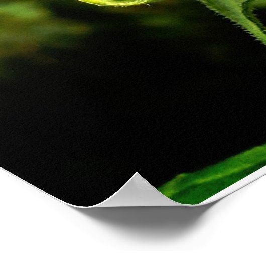 Zonnebloem Poster (Hoek)