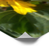 Zonnebloem Poster (Hoek)