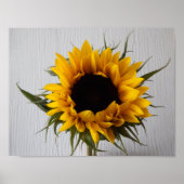 Zonnebloem Poster (Voorkant)