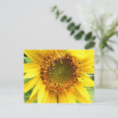 Zonnebloem, postkaart (Staand voorkant)
