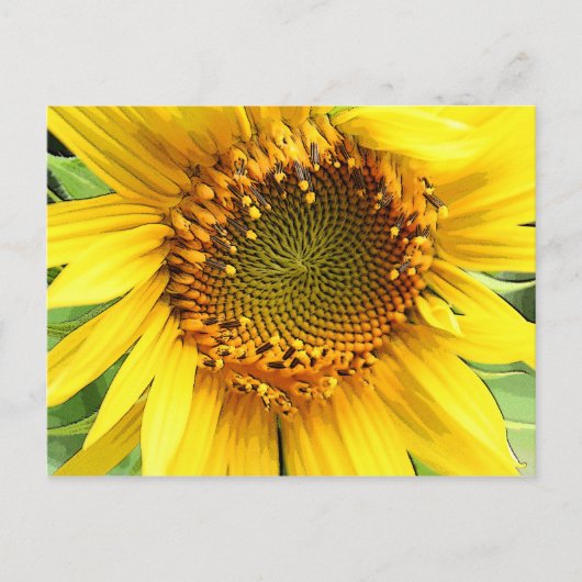 Zonnebloem, postkaart (Voorkant)