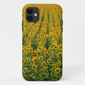 Zonnebloem Power iPhone Hoesje