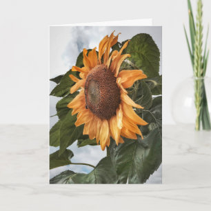 Zonnebloem Power Verjaardag Kaart