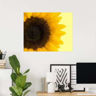 Zonnebloem Print