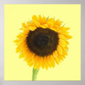 Zonnebloem Print (Voorkant)