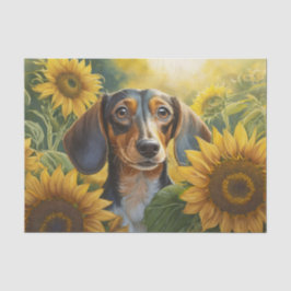 Zonnebloem Puppy Liefde, Zwart Dachshund Tissue Pa Tissuepapier