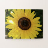 Zonnebloem Puzzle Legpuzzel (Horizontaal)