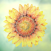 Zonnebloem Raamsticker (Vel 3)