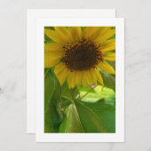 Zonnebloem Radiance: Aangepaste uitnodiging (Voorkant / Achterkant)