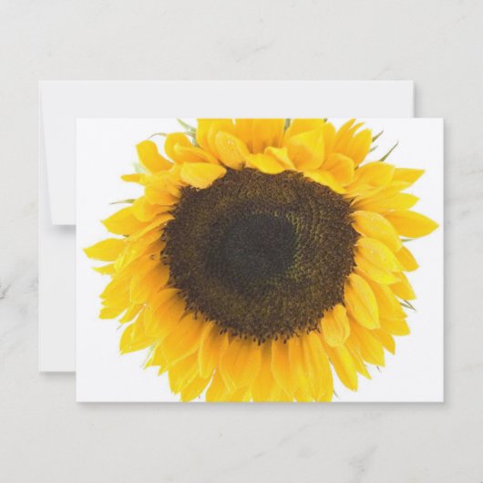 Zonnebloem Reactiekaart RSVP Kaartje (Voorkant)