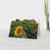 Zonnebloem Rode Schuur Blank Note Kaart (Voorkant)