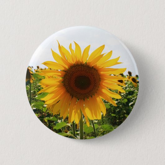 Zonnebloem Ronde Button 5,7 Cm (Voorkant)