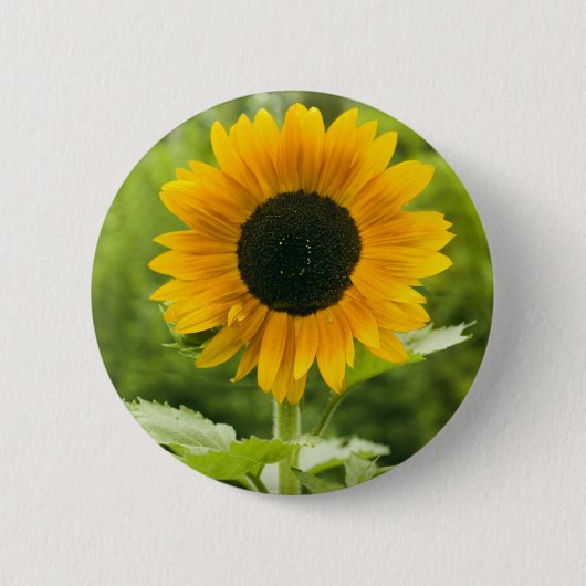 Zonnebloem Ronde Button 5,7 Cm (Voorkant)