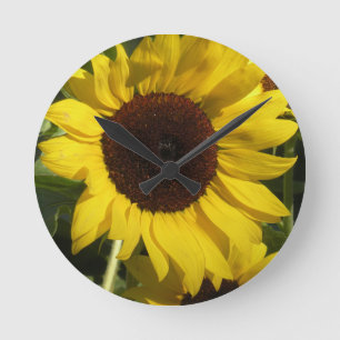 Zonnebloem Ronde Klok